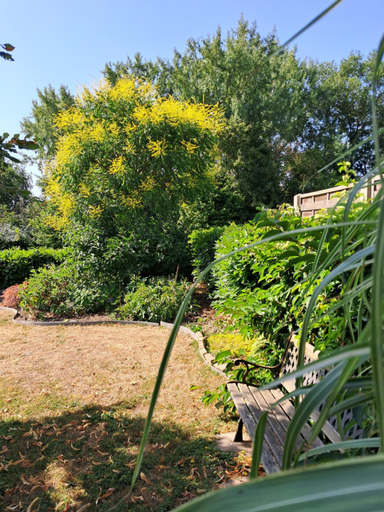 Others 2, Loge'Mans, Sarthe