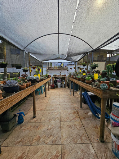 Food & Drinks, Flat rustico e aconchegante proximo a Paraty e Trindade, Parati