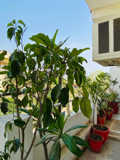 Others 3, Bharat Villa - Homestay, Agra