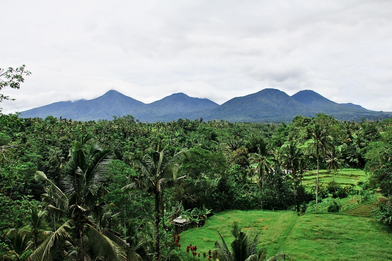 3, Four Mountains Villa Bedugul by AGATA, Tabanan