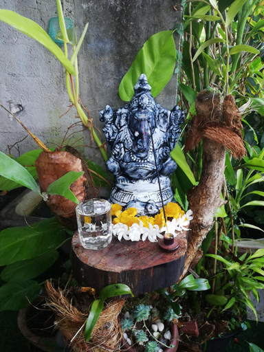 Food & Drinks, H S Home Stay, K.F.G. & G. Korale