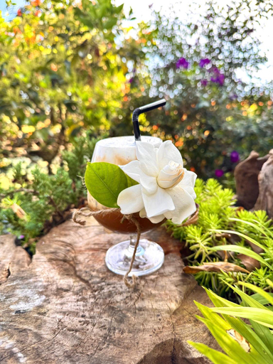 Food & Drinks, Nacasoo hill, Lâm Hà