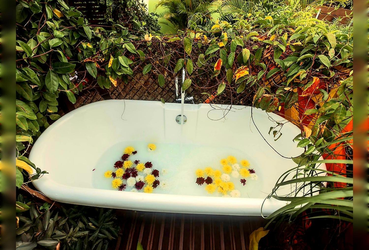 Food & Drinks, LE TI CITRON VERT - Baignoire a ciel ouvert et refuge colore -, Saint-Leu