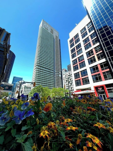 Exterior 3, Tripshine Suites, Toronto