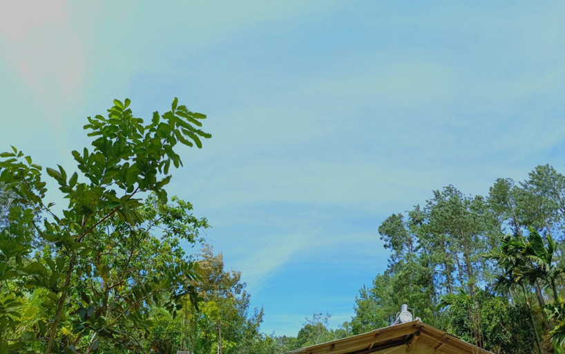 5, Nethanya Homestay, Ella