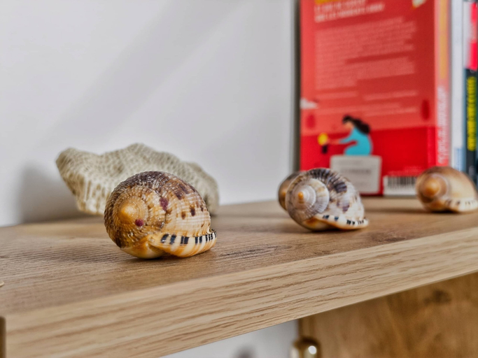 Interior detail 5, Seaside - Vue océan et plage, Le Moule