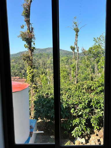 3, Shivalaya Homestay, Madikeri, Kodagu