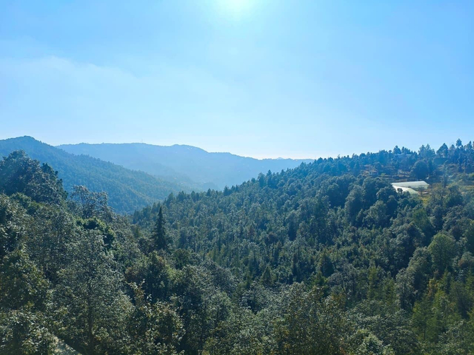 Miscellaneous, Mukteshwar Valley Resort, Nainital
