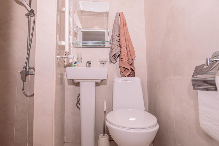 Bathroom 2, ОРЕЛ, Yerevan