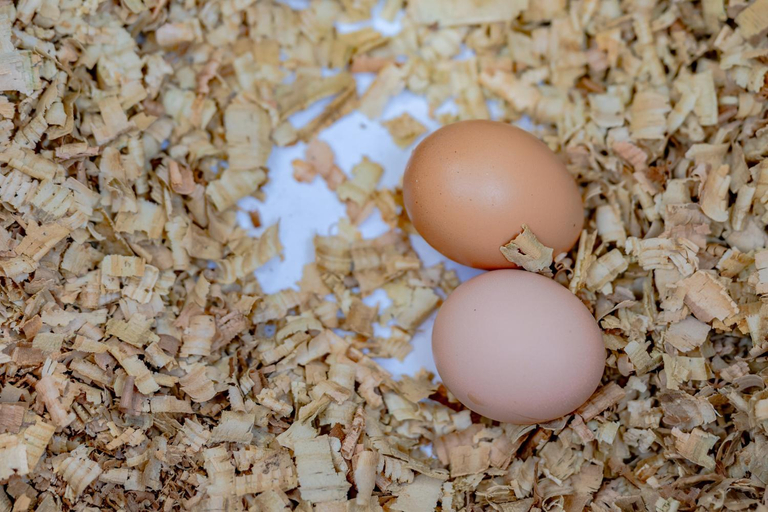 Food & Drinks, Naima Luxury Home, Cottage & Apartment Rentals