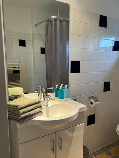 Bathroom, Bed en Breakfast In het Fruit, Beemster