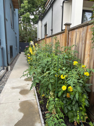 Others 4, Cozy Family Suite in Vancouver near UBC, Greater Vancouver