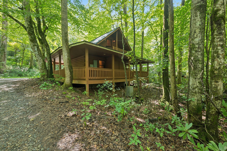 Exterior 2, Cozy Creekside Cabin With Wraparound Porch 1 Bedroom Home, Cherokee