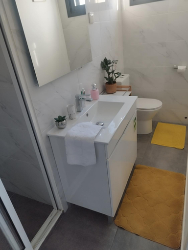Bathroom 2, Alexia Room, Funchal