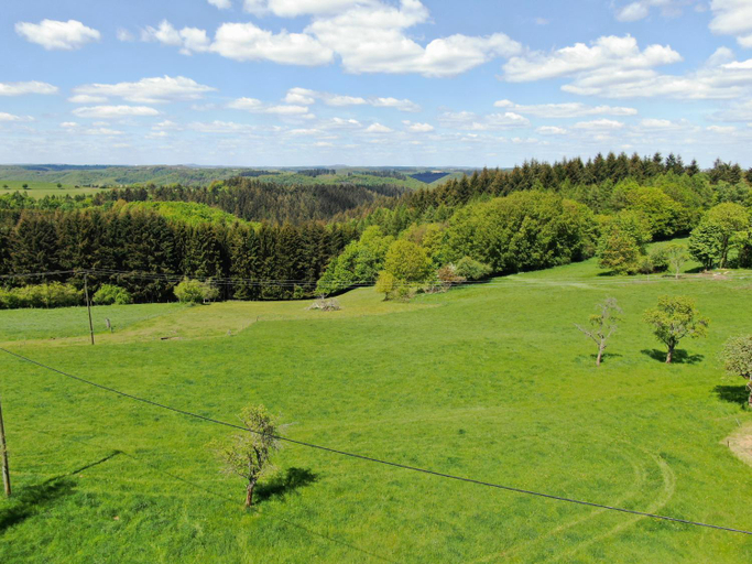 Others 4, Haus Im Wald, Bernkastel-Wittlich