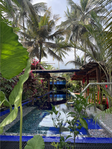 Sport & Beauty 2, Red Coconut Villa, Bentota