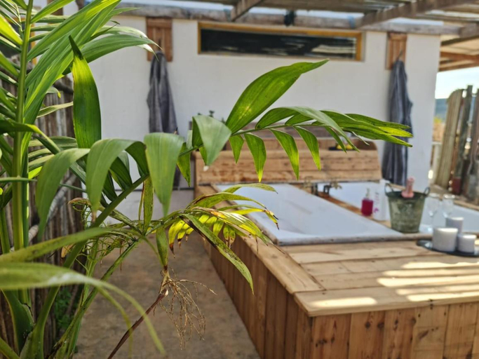 Others