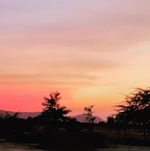 Others 4, Subhadra ecolodge, Jalor
