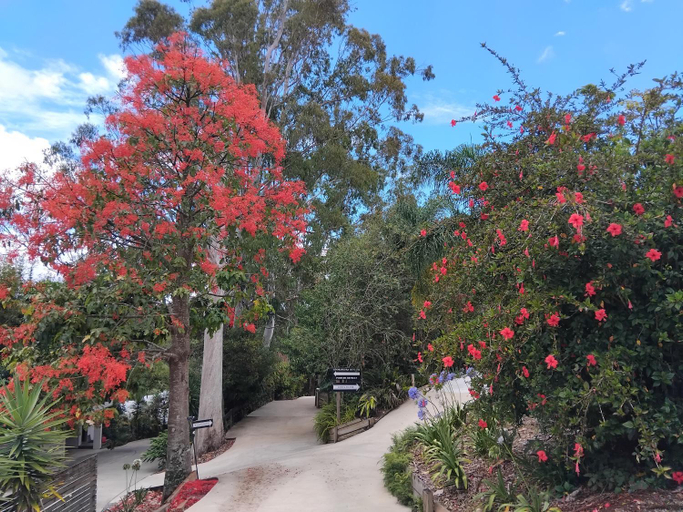 Others 4, "On Burgum Pond" Cottages, Caloundra - Hinterland