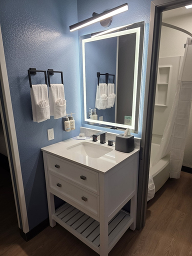 Bathroom 3, Garner Hotel Missoula Southwest by IHG, Missoula