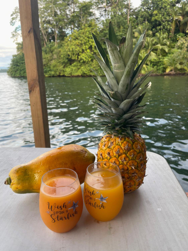 Food & Drinks 5, Ponci’s Gate to Gaia Holistic Center, Bocas del Toro