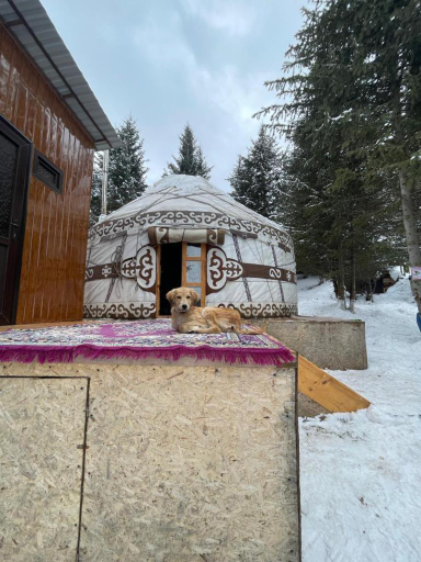 Others 4, Yurty Mc yurt, Djety-Oguz