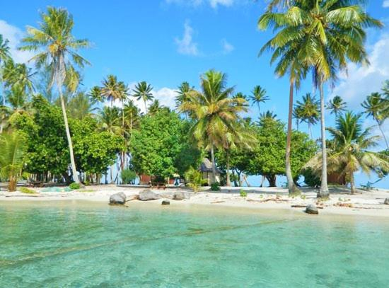 Others 2, VILLA DE LA BAIE RAIATEA - Bord de mer de 70 m2