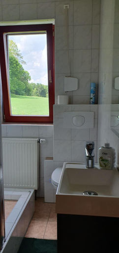 Bathroom 2, Gasthaus Zum Schneider, Bayreuth