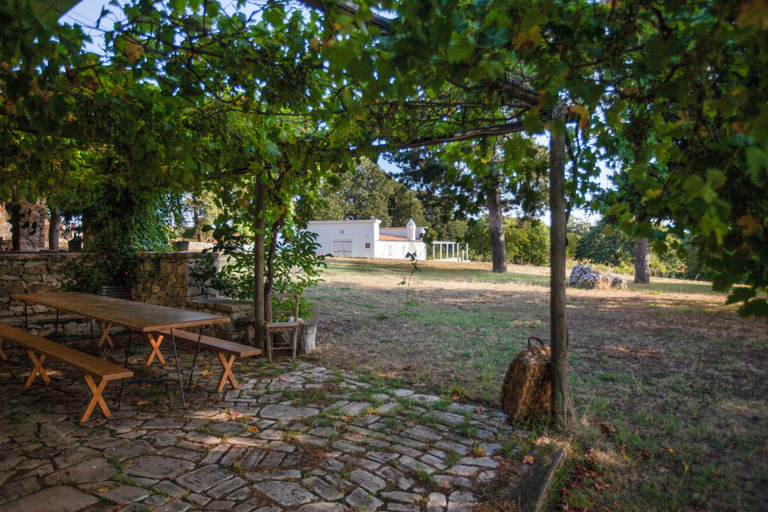 Exterior 3, ECO RESORT TRE CERCOLE, Foggia