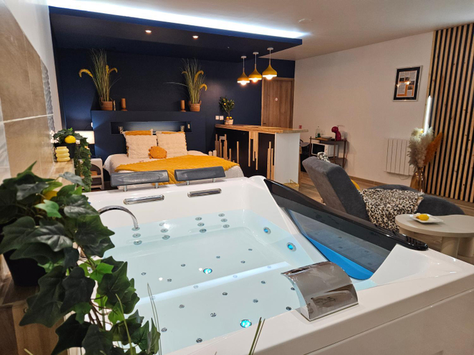 Others 4, Studio Design Cocon SPA prive a deux pas de Lille, Nord