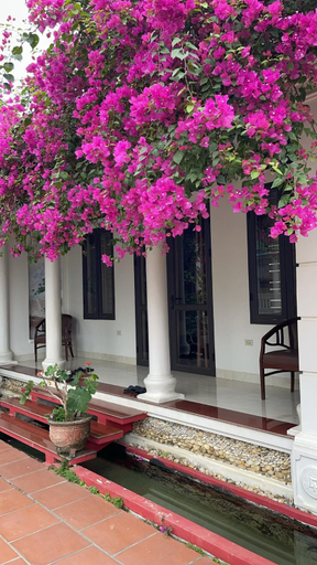 Exterior & Views 1, Nha Xanh Homestay, Ninh Bình