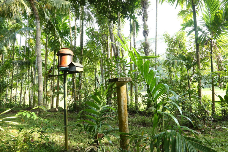 Surrounding environment 4, Villa Wave Spice, Ambalangoda