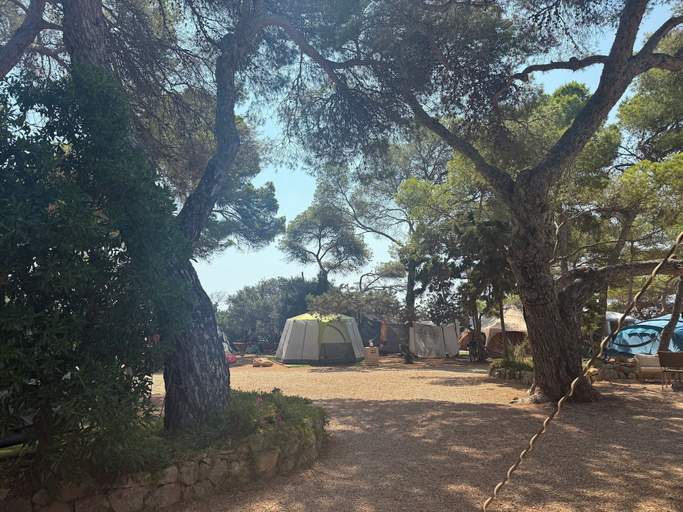 Property grounds 3, Camping Laplaya Ibiza, Baleares