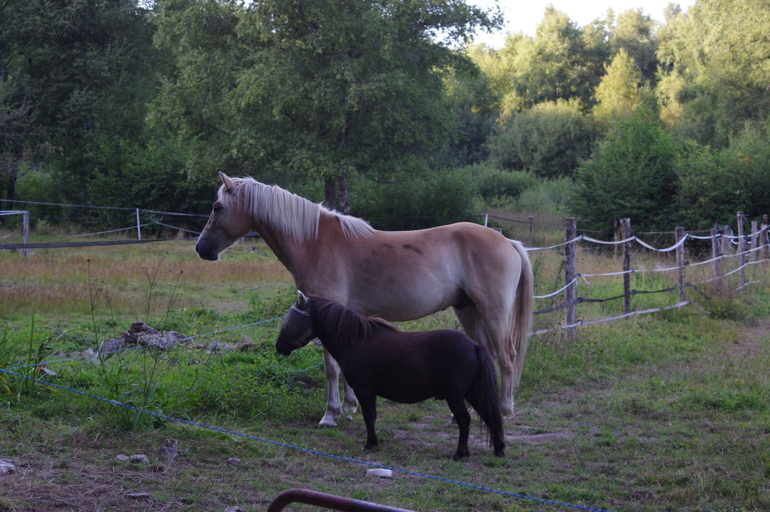 Exterior 2, LA ESTANCIA, Nièvre