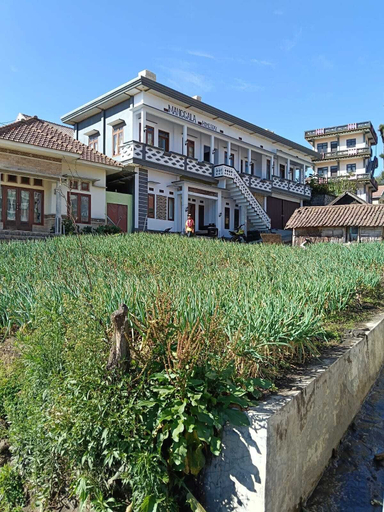 Front of property 4, Manggala Homestay Bromo, Probolinggo