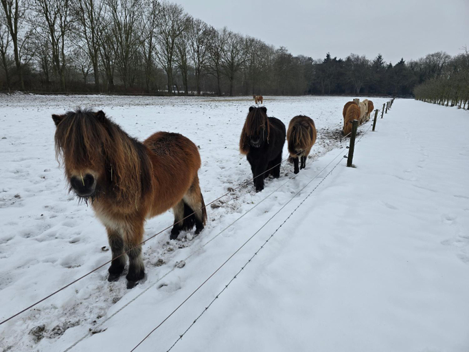 Others 4, Timmershoeve, Bernheze