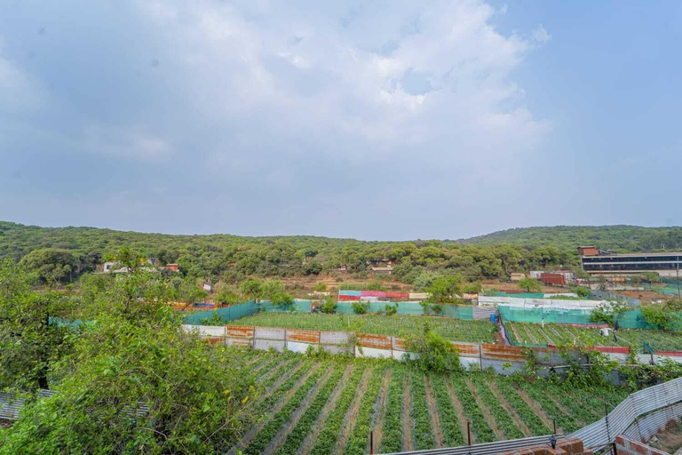 Miscellaneous, Breeze Mount Villa, Satara