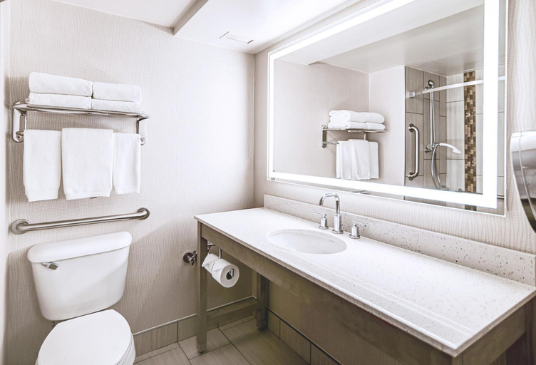 Bathroom 4, DoubleTree by Hilton Madison Downtown, Dane