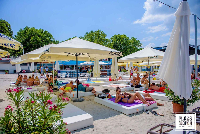 Others 4, Holiday Homes in Siofok - Balaton 43405, Siófok