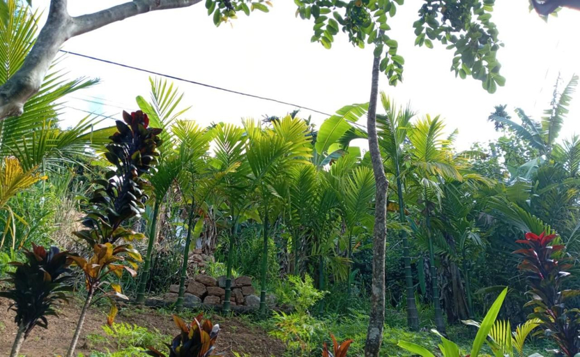 2, Nethanya Homestay, Ella