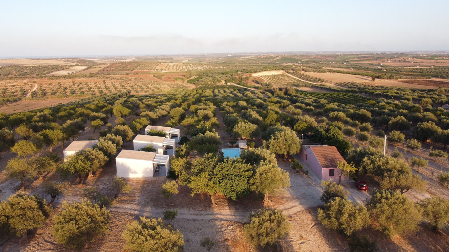 Aerial view 3, Mennuli & Alivi Organic Farm, Syracuse