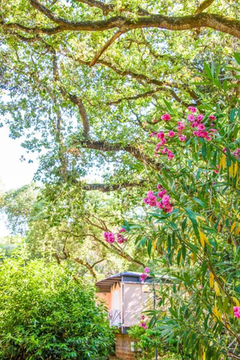 Property grounds, Residence with private beach in San Vincenzo, Livorno