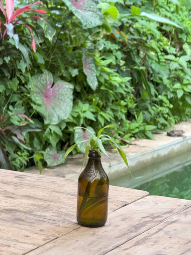 Food & Drinks 5, Caju Grove - The Big Yellow Goan House, North Goa