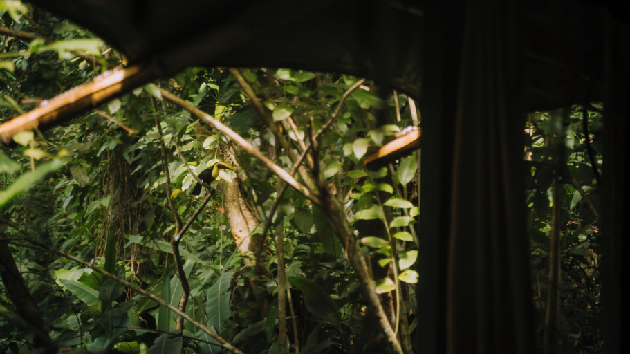Hill view 5, Colina Secreta - Glamping and Villas, Talamanca