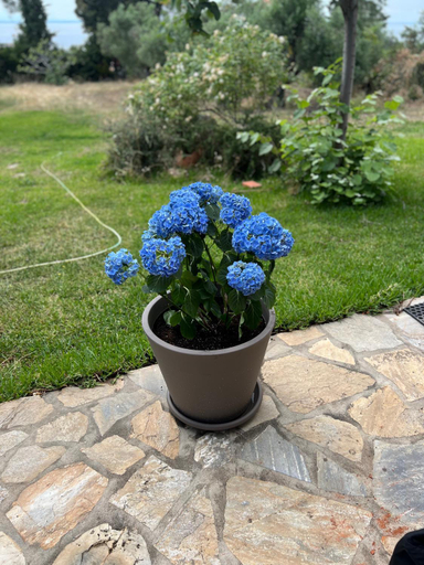 Garden 3, Country Vila, Central Macedonia