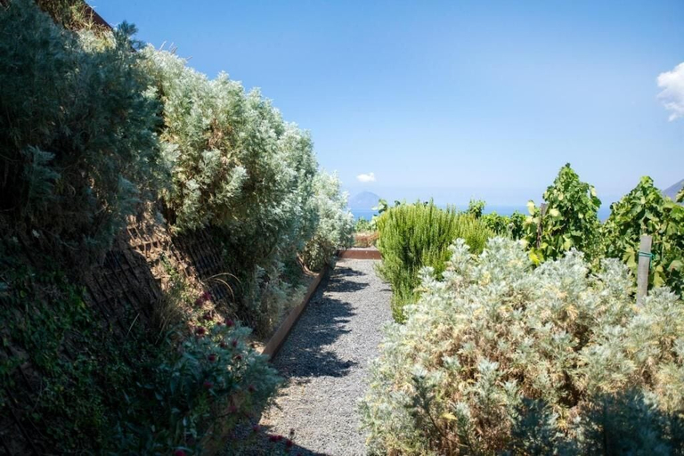 Exterior 5, Tenuta di Castellaro Winery & Resort, Messina