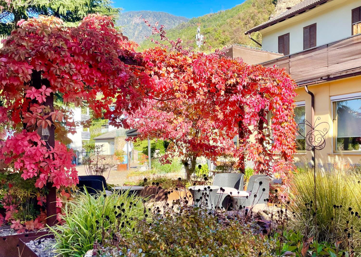 Others 4, Hotel Garni Gruner Baum (Albero Verde), Bolzano