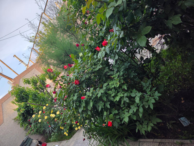 Others 3, Guesthouse Aygestan, Yerevan