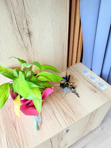 Food & Drinks, 446 Tiny House Shiroke, Shkodrës