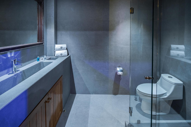 Bathroom 2, Hotel Parque Espana, Mexico City